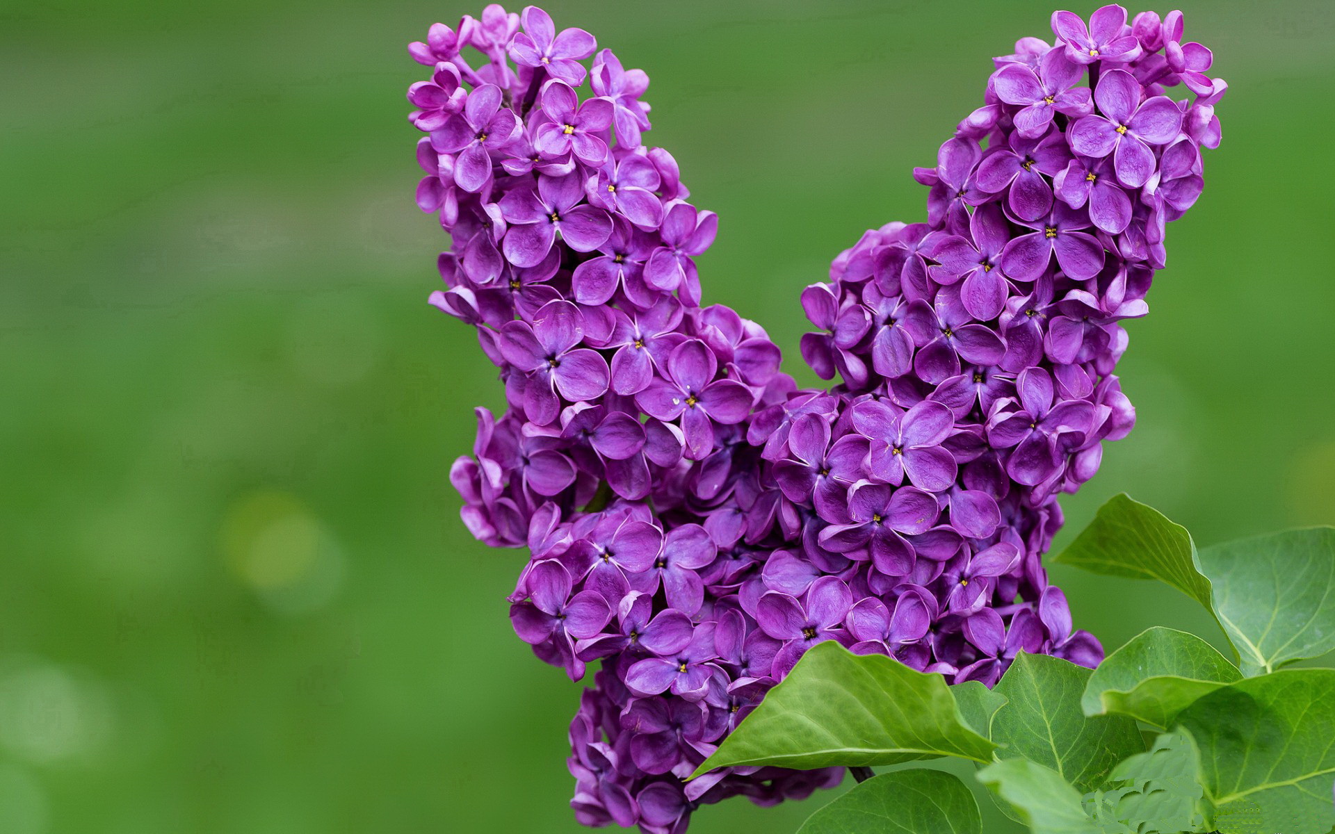 切尔西女足参加慈善比赛公益活动,切尔西女足队员名单