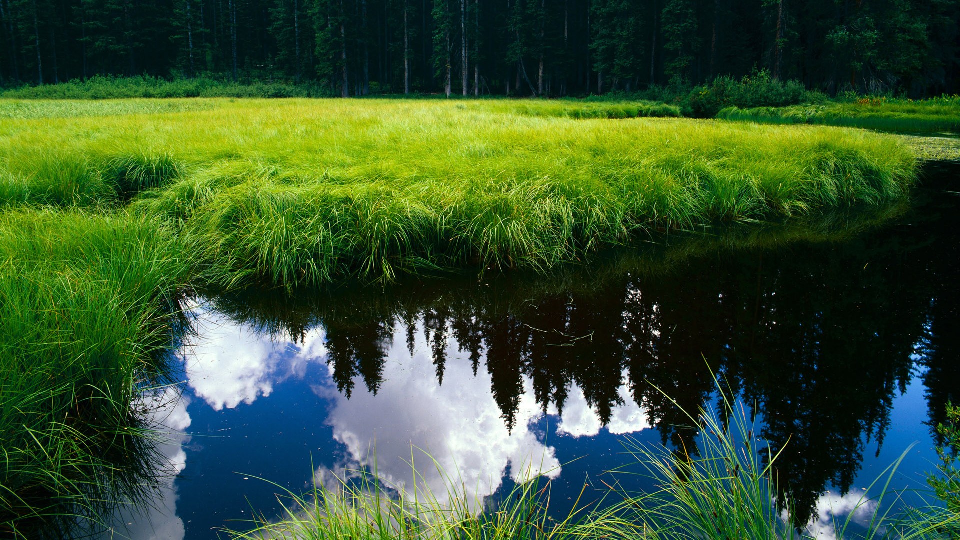 格拉纳达连胜达到五场,状态火爆,格拉纳达战绩500