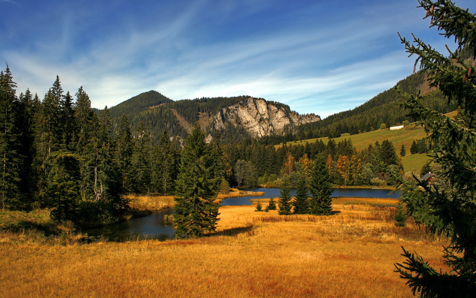开云体育博彩-欧洲杯预选赛突发事件：球队出现人员变动，欧洲杯预选赛比赛分析