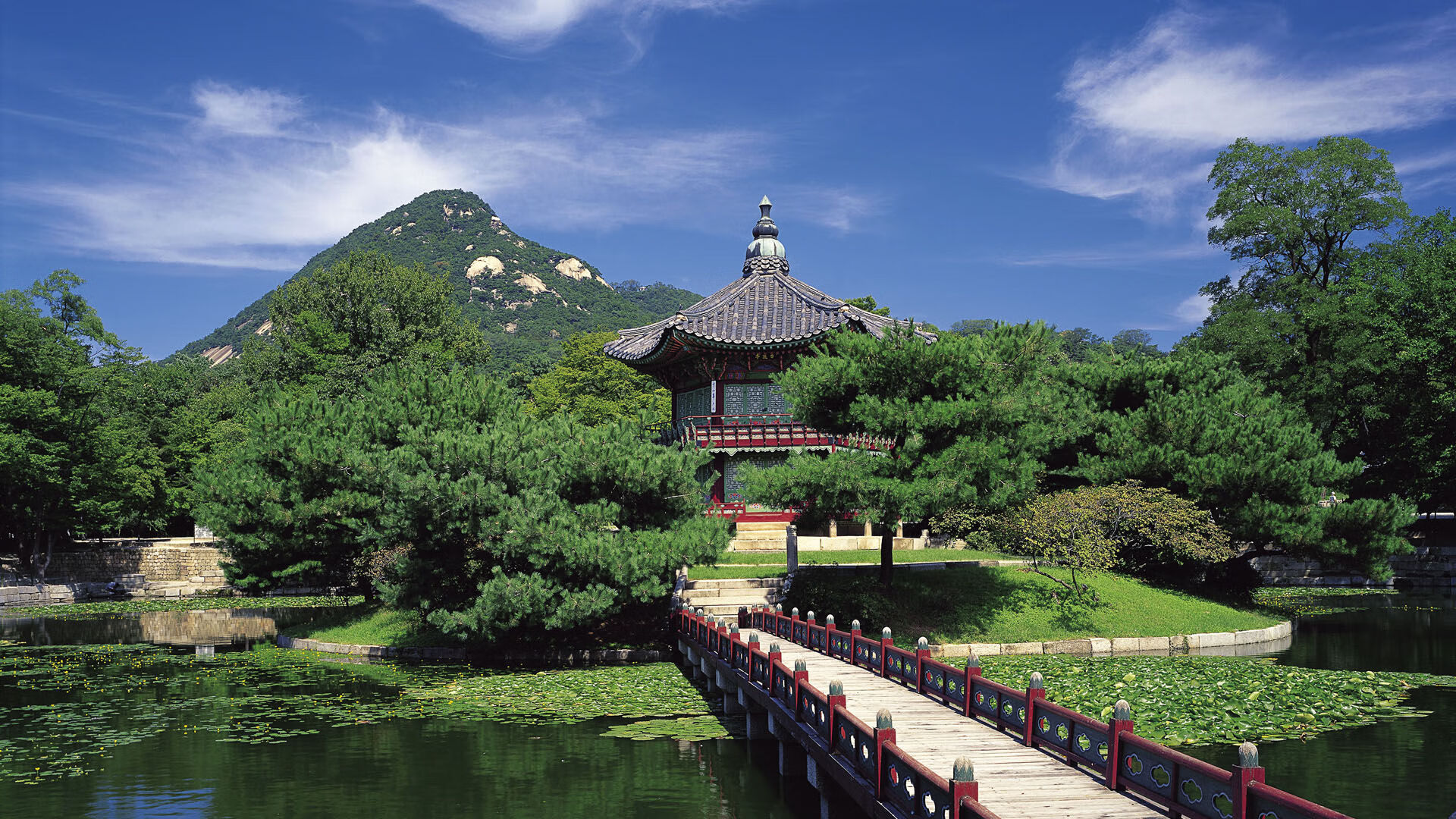 开云体育手机版-西甲劲旅调查尼斯后卫，或将探索新引援机会，西甲老牌劲旅