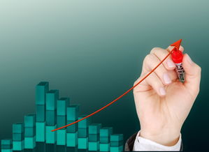 -中国篮球后卫技术细节提升策略研究，篮球后卫基本功