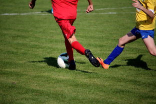 kaiyun sports-中超球员比赛热度曲线与表现匹配模型，中超热身赛