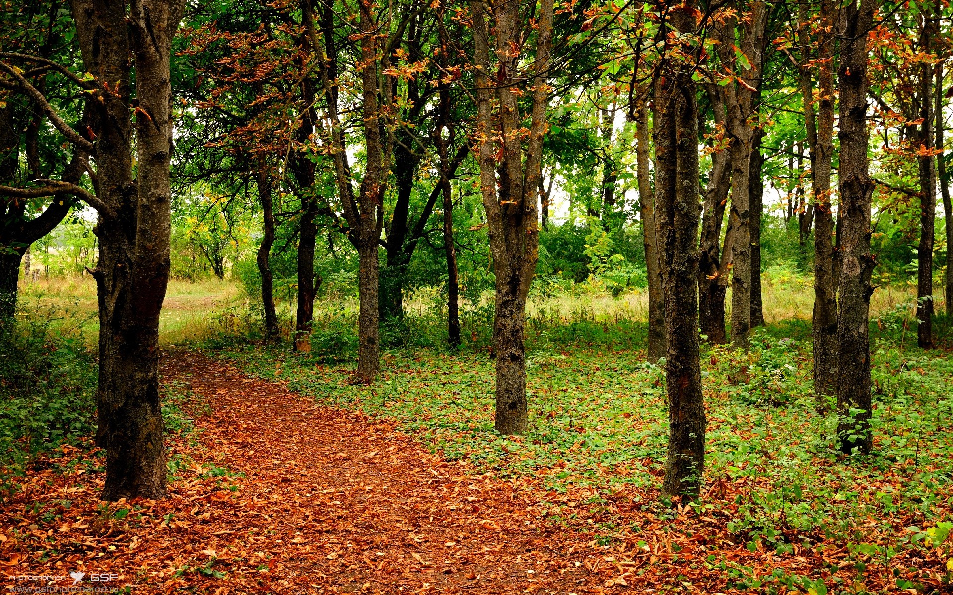 Kysports-本菲卡边路进攻见效，博卡应对稍慢，本菲卡比赛视频