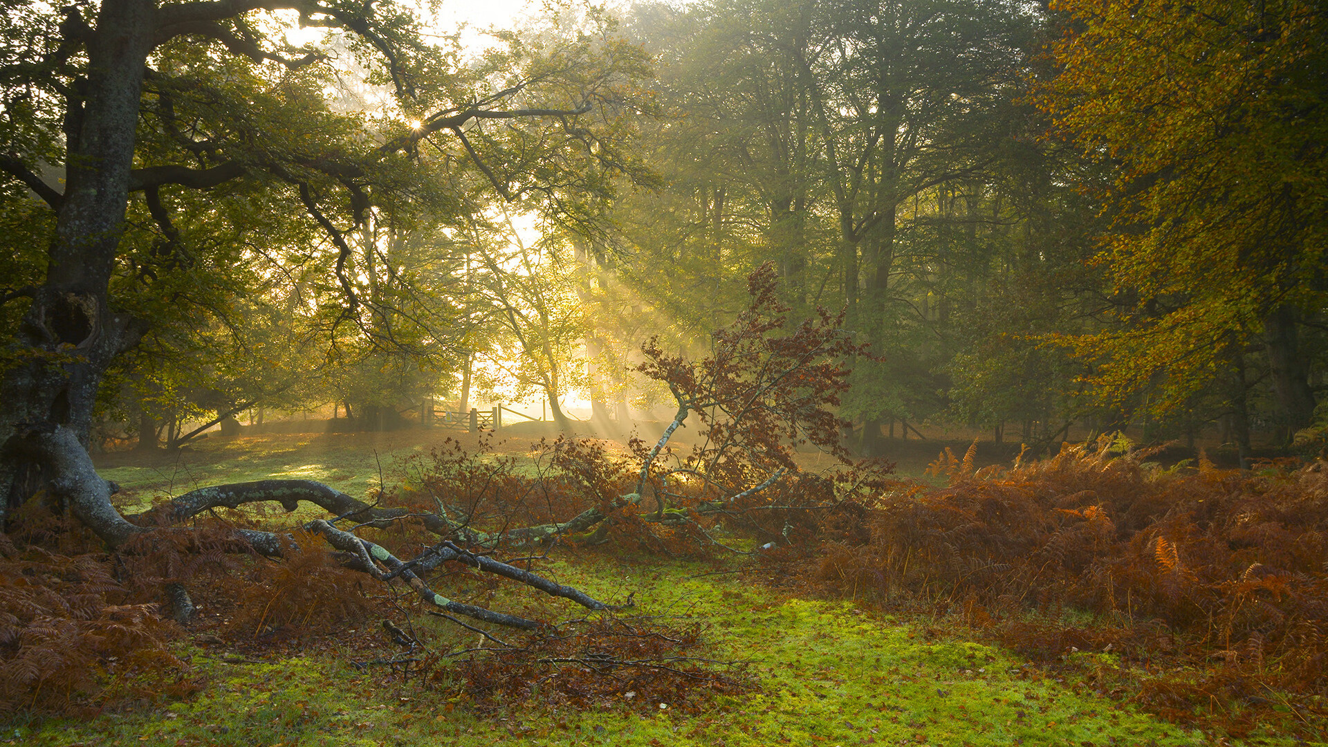 开云体育官网-跳水初赛中立代表队A状态逐步提升，跳水参赛选手