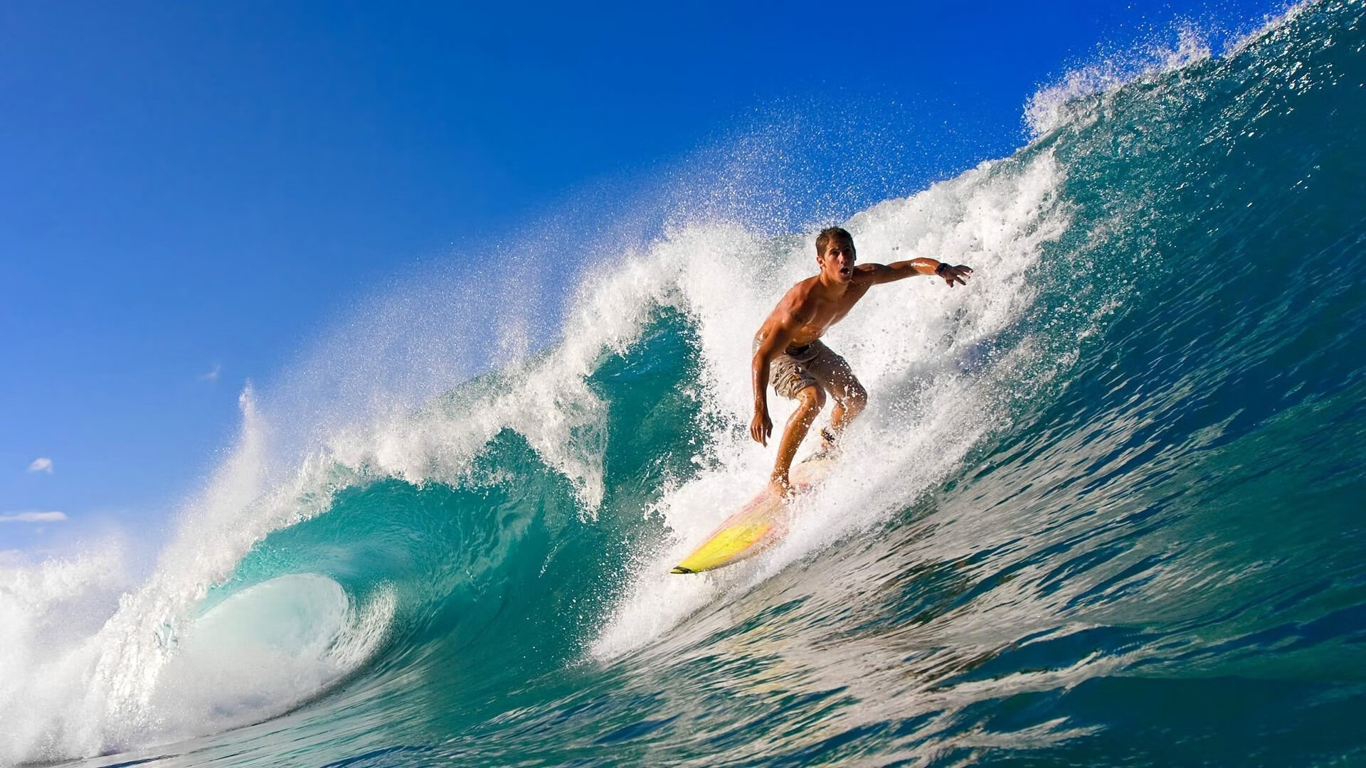 _传统体育节：文化与运动的交织盛典_，体育与文化节的意义