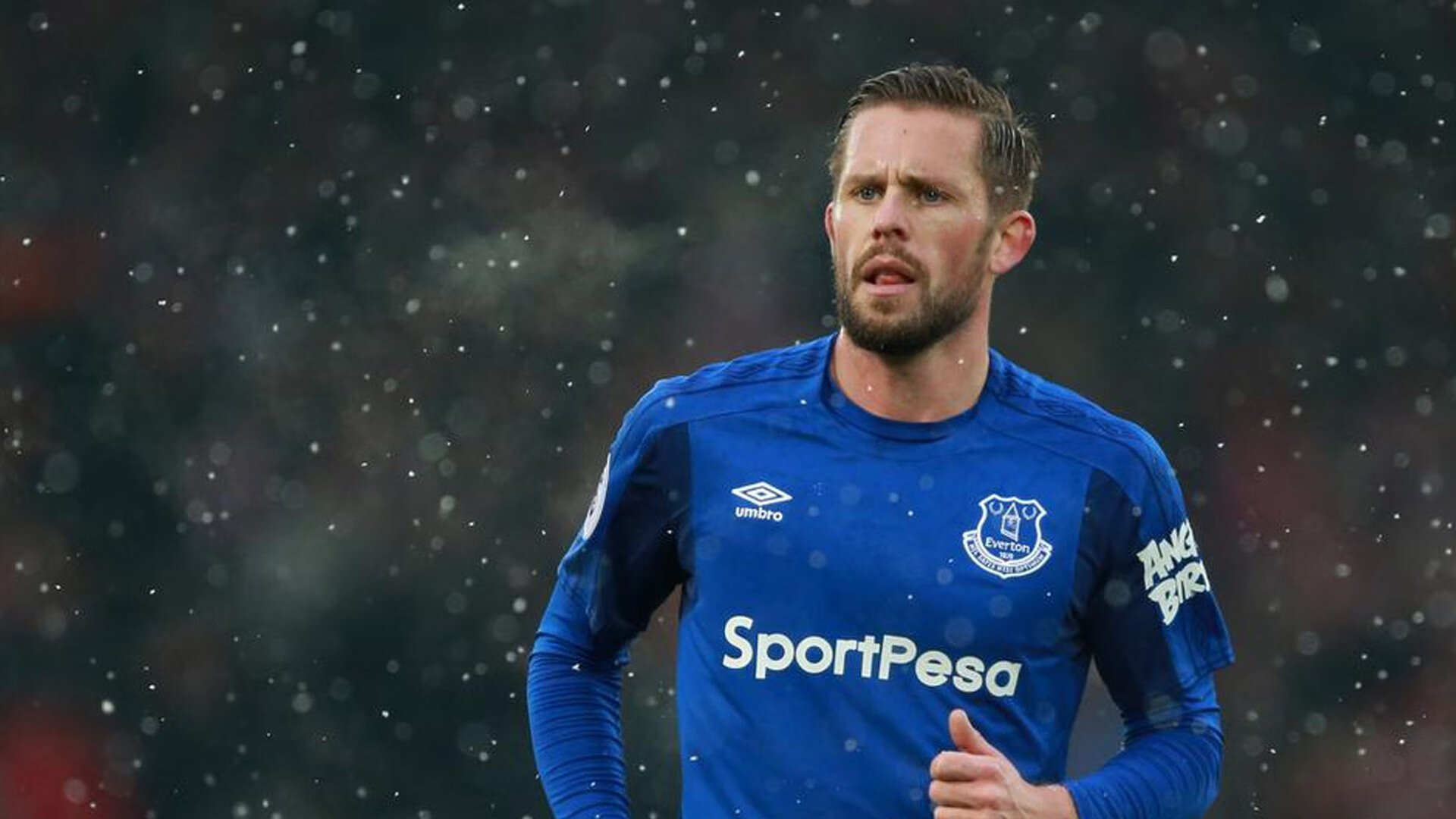 _大自然跑步：森林、河谷、山脉的奔跑体验_，森林 跑步