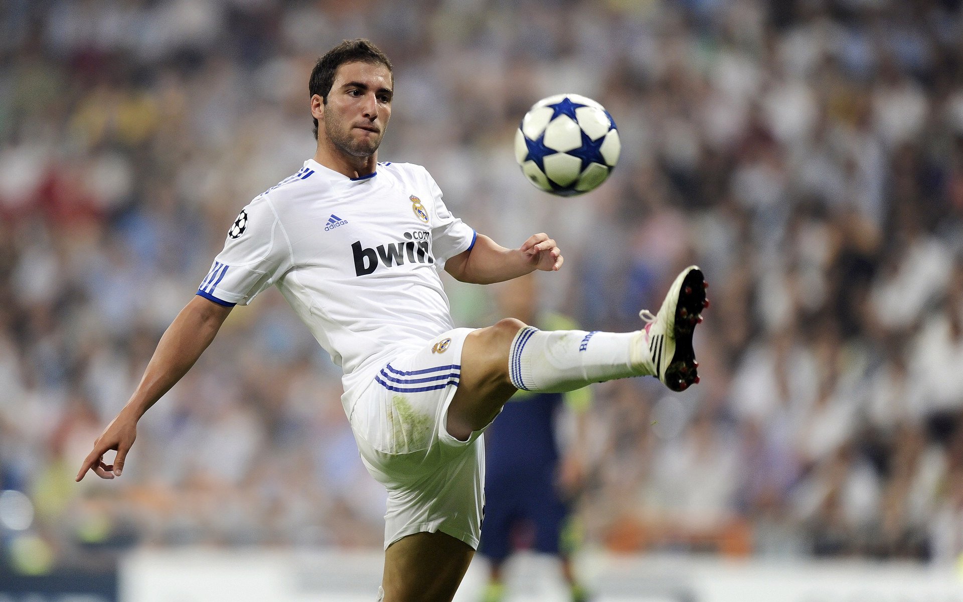 “骑士精神”——车手不屈不挠的拼搏故事，骑士和车手